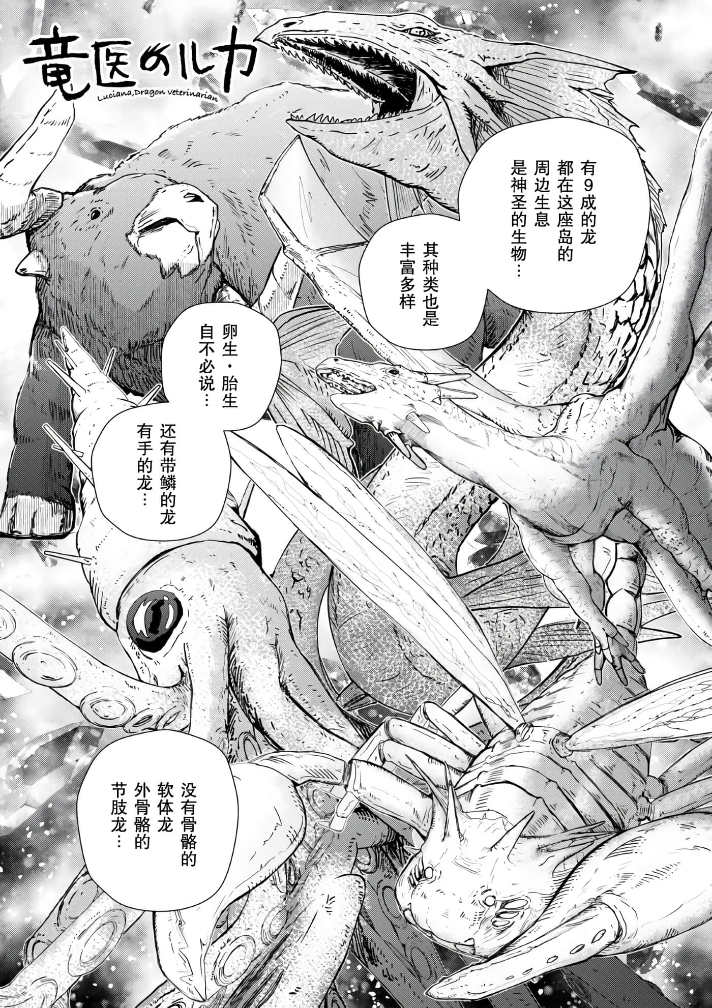 龙医卢卡【1-25话 24-25是生肉】【竜医のルカ】-2