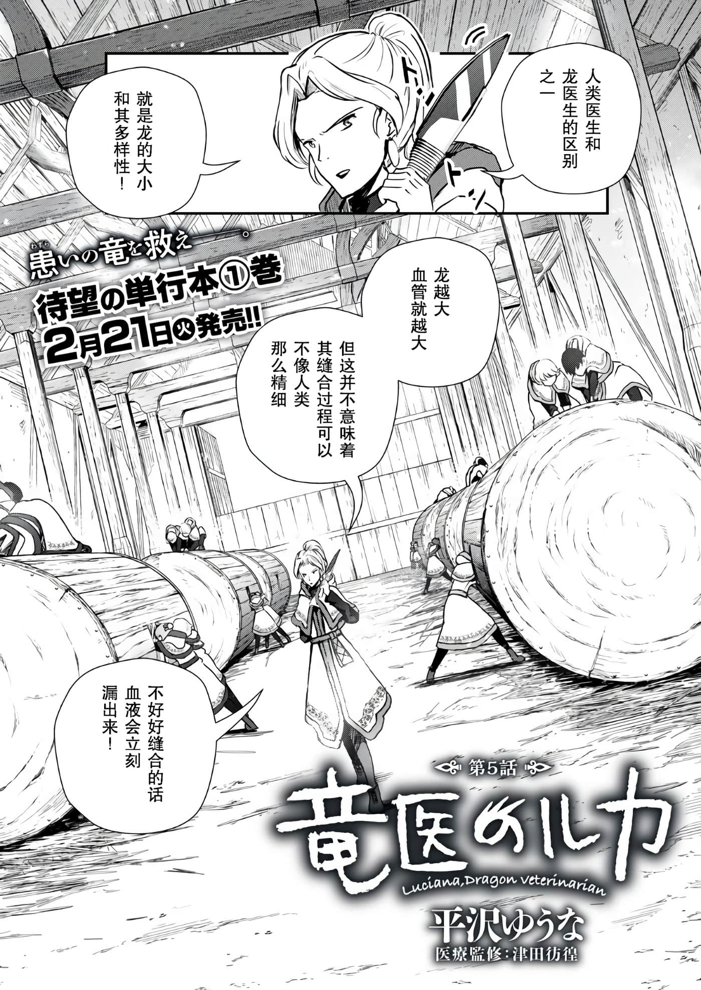 龙医卢卡【1-25话 24-25是生肉】【竜医のルカ】-5