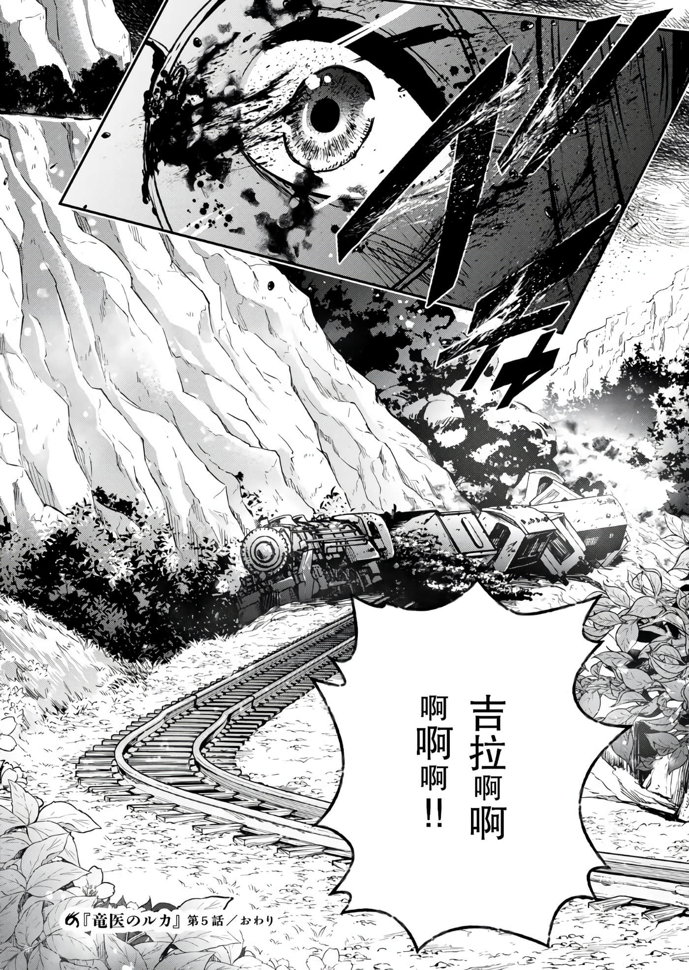 龙医卢卡【1-25话 24-25是生肉】【竜医のルカ】-5