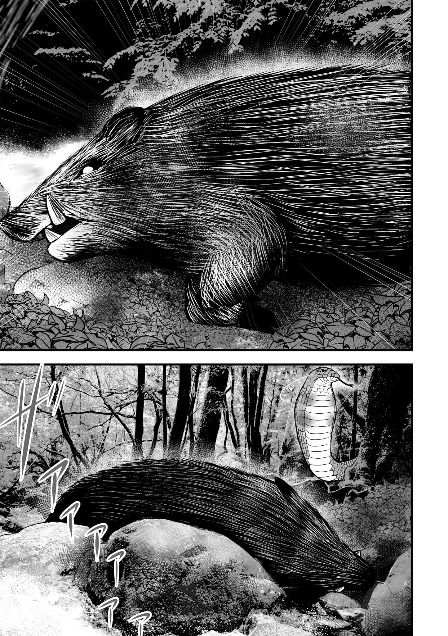 异世界轻松生存 生存技能超强的我与四位美少女共度的无人岛生活【1-55话 31-55是生肉】【異世界らくらくサバイバル／異世界輕鬆自在野外求生記】-2